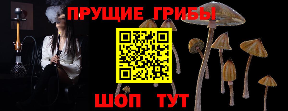 Псилоцибиновые грибы ЛСД Краснокамск